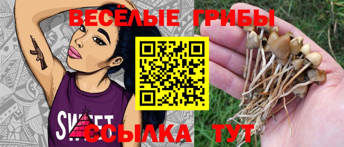 Иваново  Галлюциногенные грибы Magic Shrooms  Вход с VPN 
