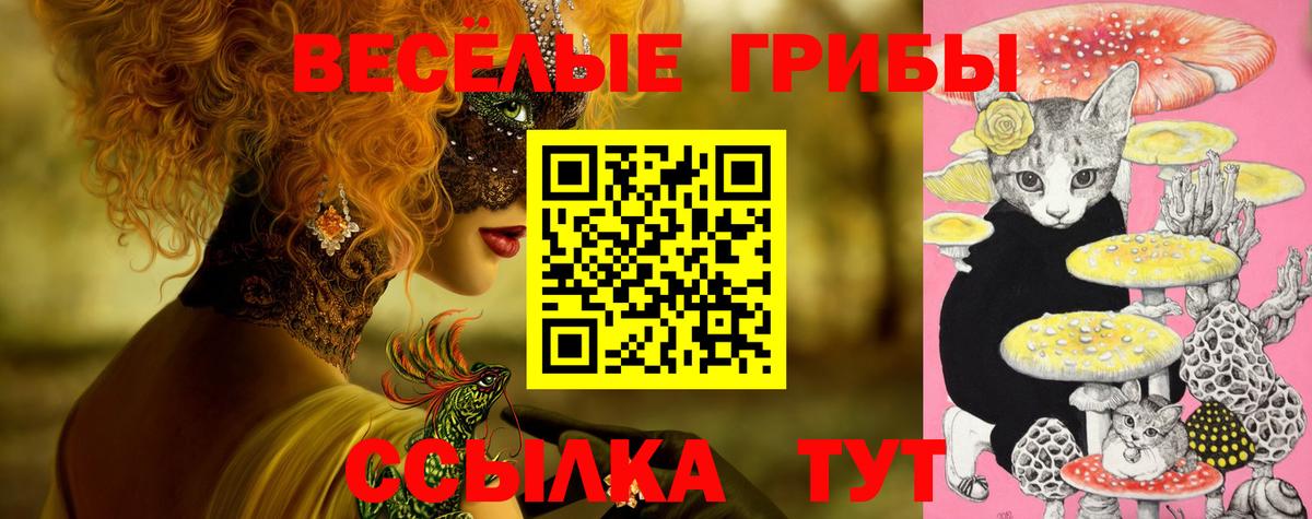 Псилоцибиновые грибы Psilocybine cubensis Иваново